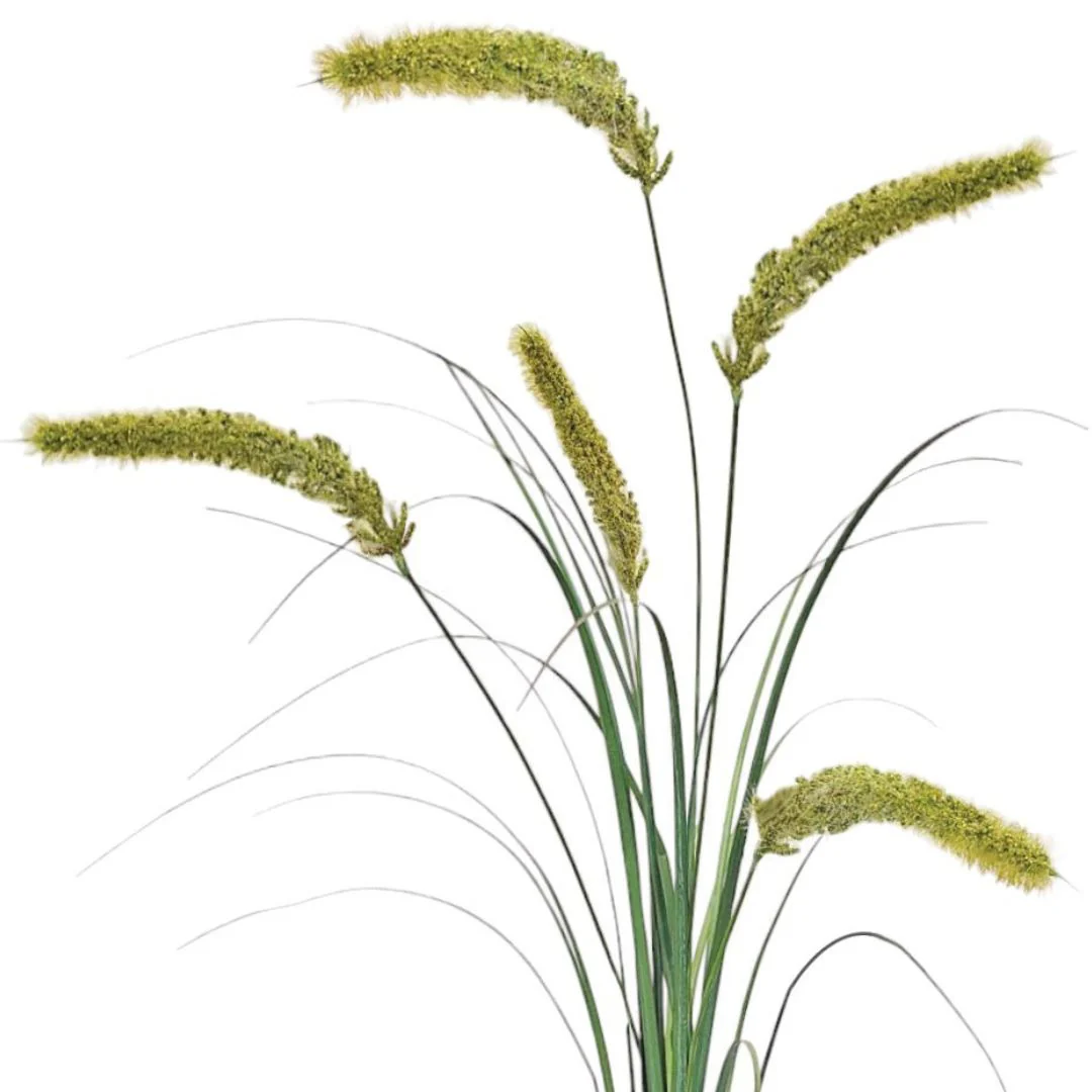 Fountain Grass: Green - Large