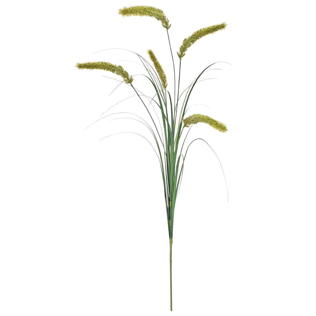 Fountain Grass: Green - Large - Image 2