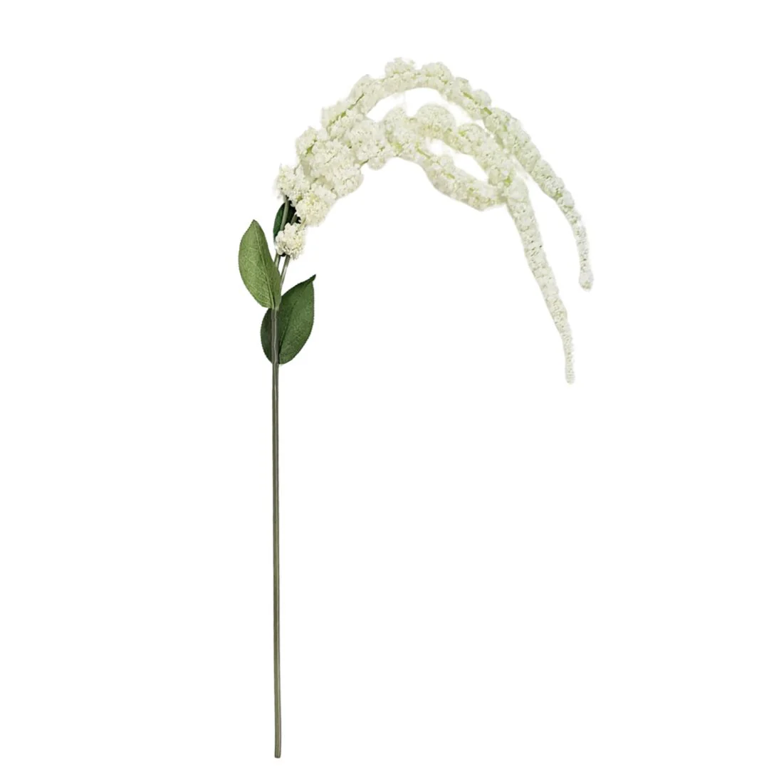 Amaranthus - White - Image 2