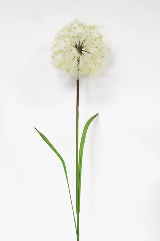 Dandelion Spray