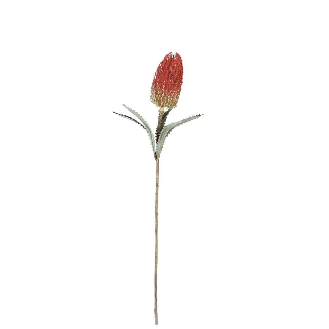 Banksia Spray - Red - Image 2