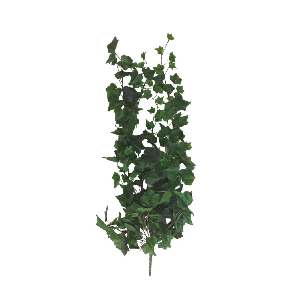 Dark Green Ivy Bush -  X Large