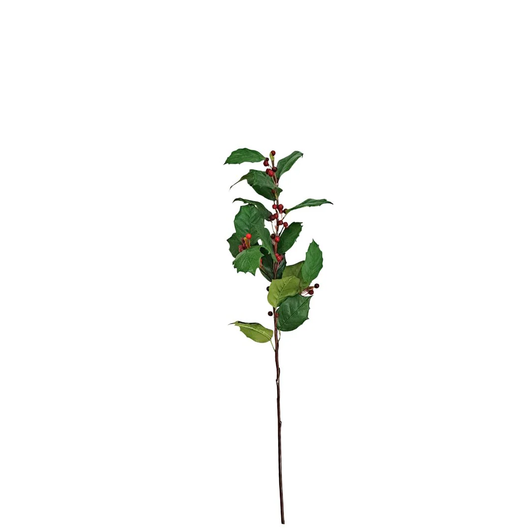 English Holly - Green - Image 2
