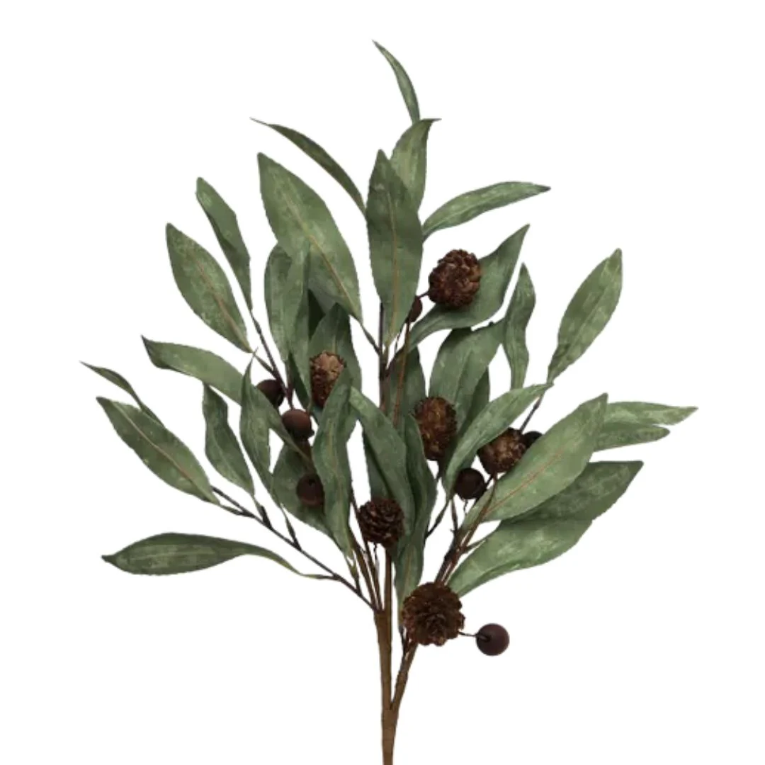 Eucalyptus & Brown Berry Wood Branch