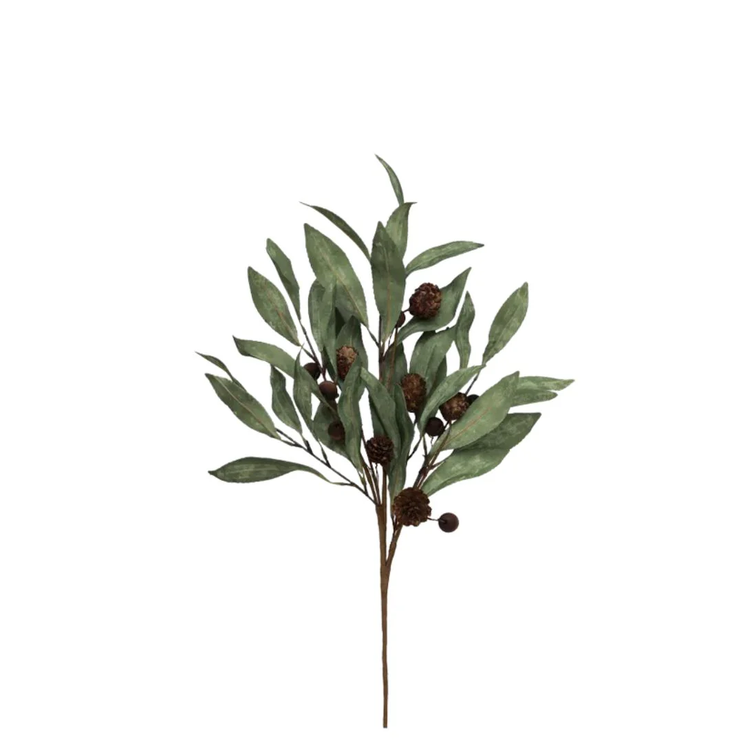 Eucalyptus & Brown Berry Wood Branch - Image 2