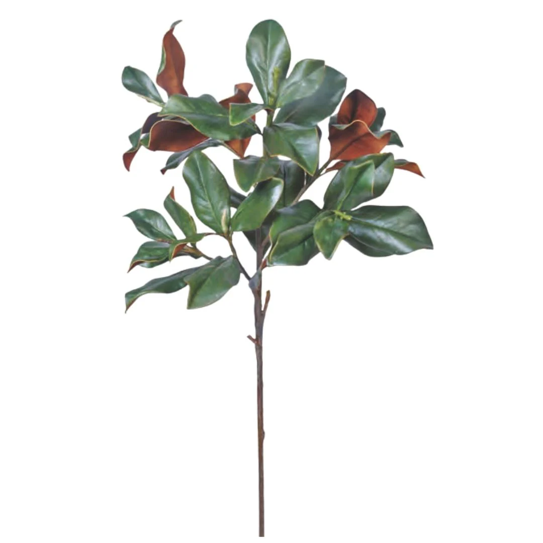 Evergreen Magnolia Branch - Dark Green - Image 2
