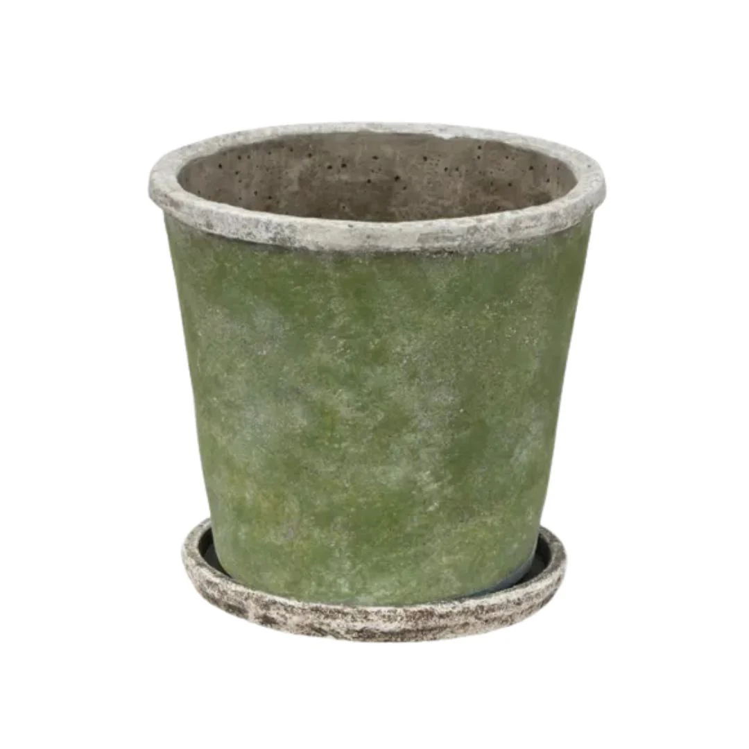Evergreen Plant Pot & Saucer - Large