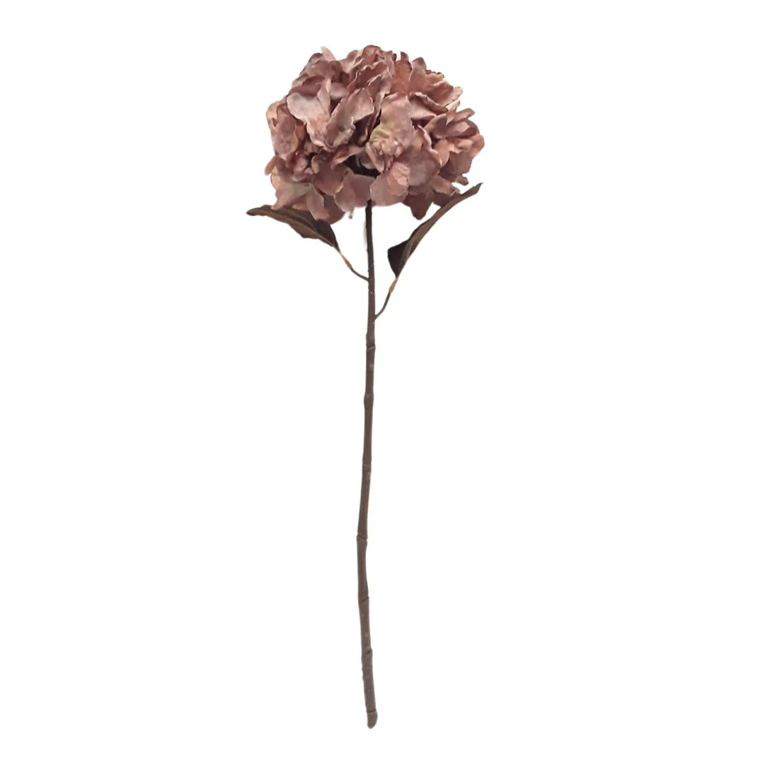 Fall Hydrangea: Blush