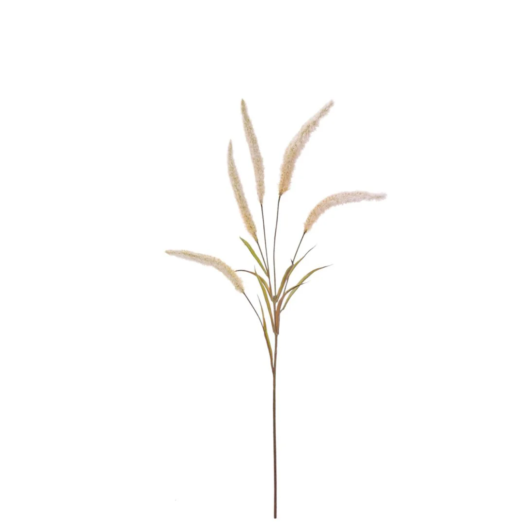 Flowering Pearl Grass: Cream/Brown - Image 2