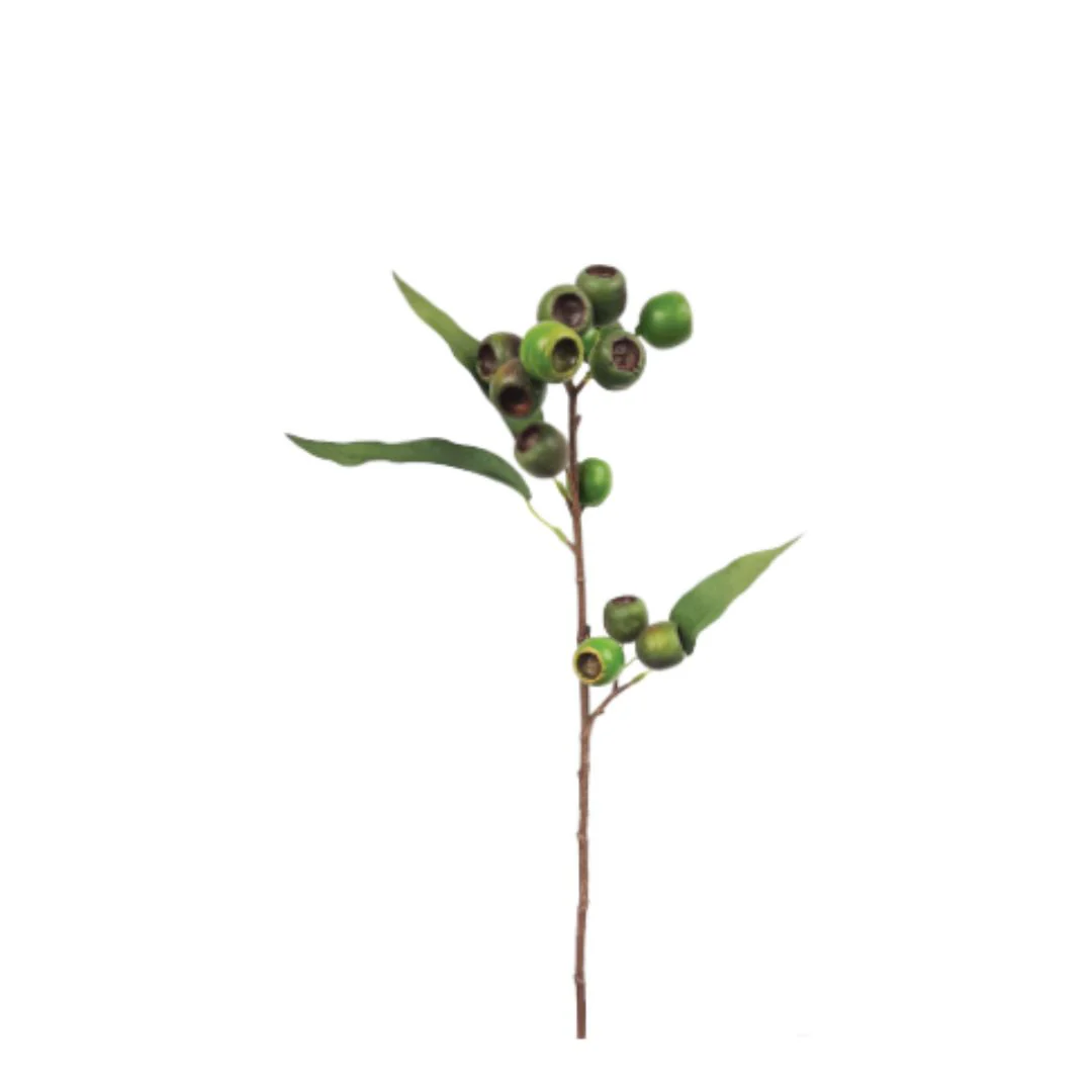 Medium Native Gum Nut: Green - Image 2