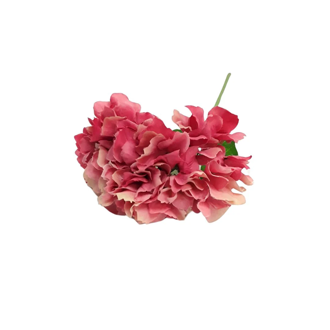 Italian Hydrangea - Coral Pink - Image 2