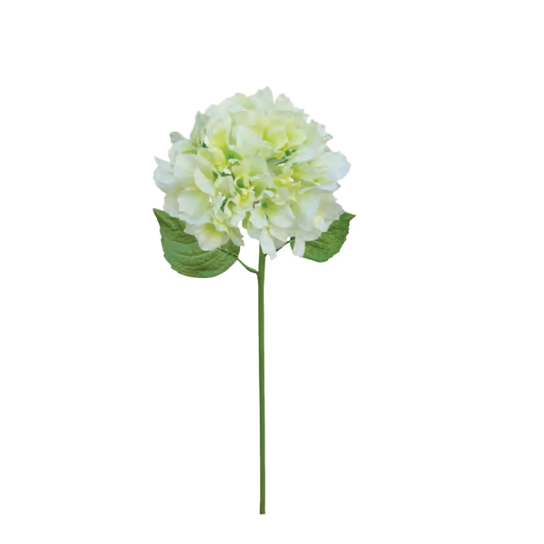 Italian Hydrangea - Cream - Image 2