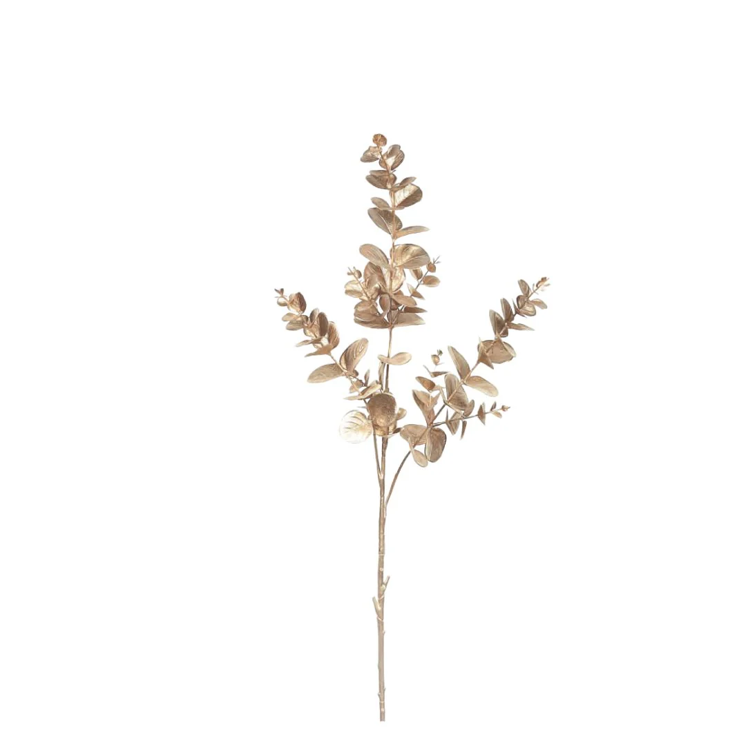 Large Eucalyptus: Champagne - Image 2