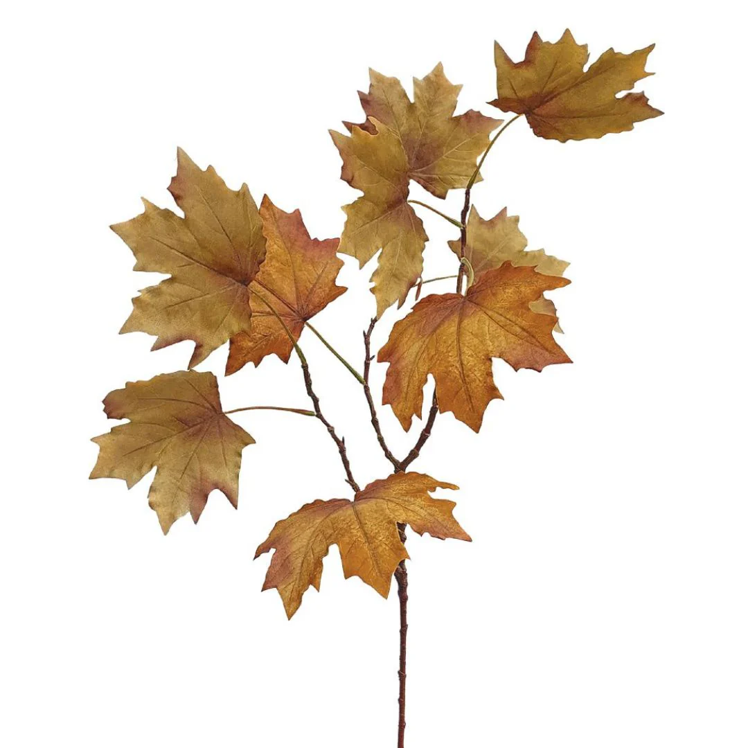 Late Autumn Maple: Rust