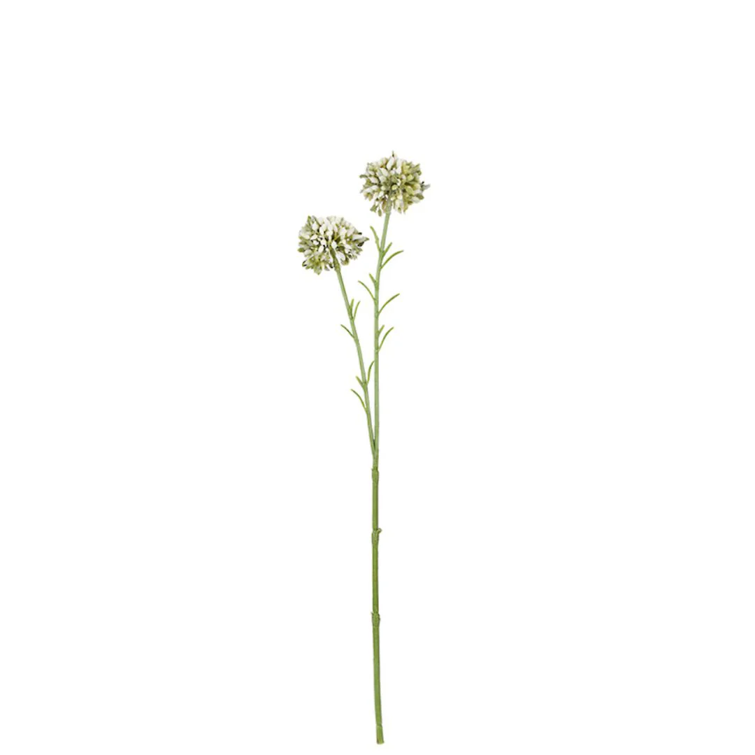 Mini Allium Spray: Cream - 46cm - Image 2