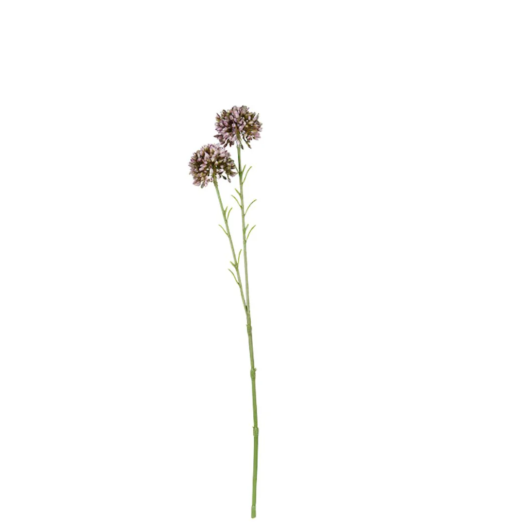 Mini Allium Spray: Lavender - 46cm - Image 2