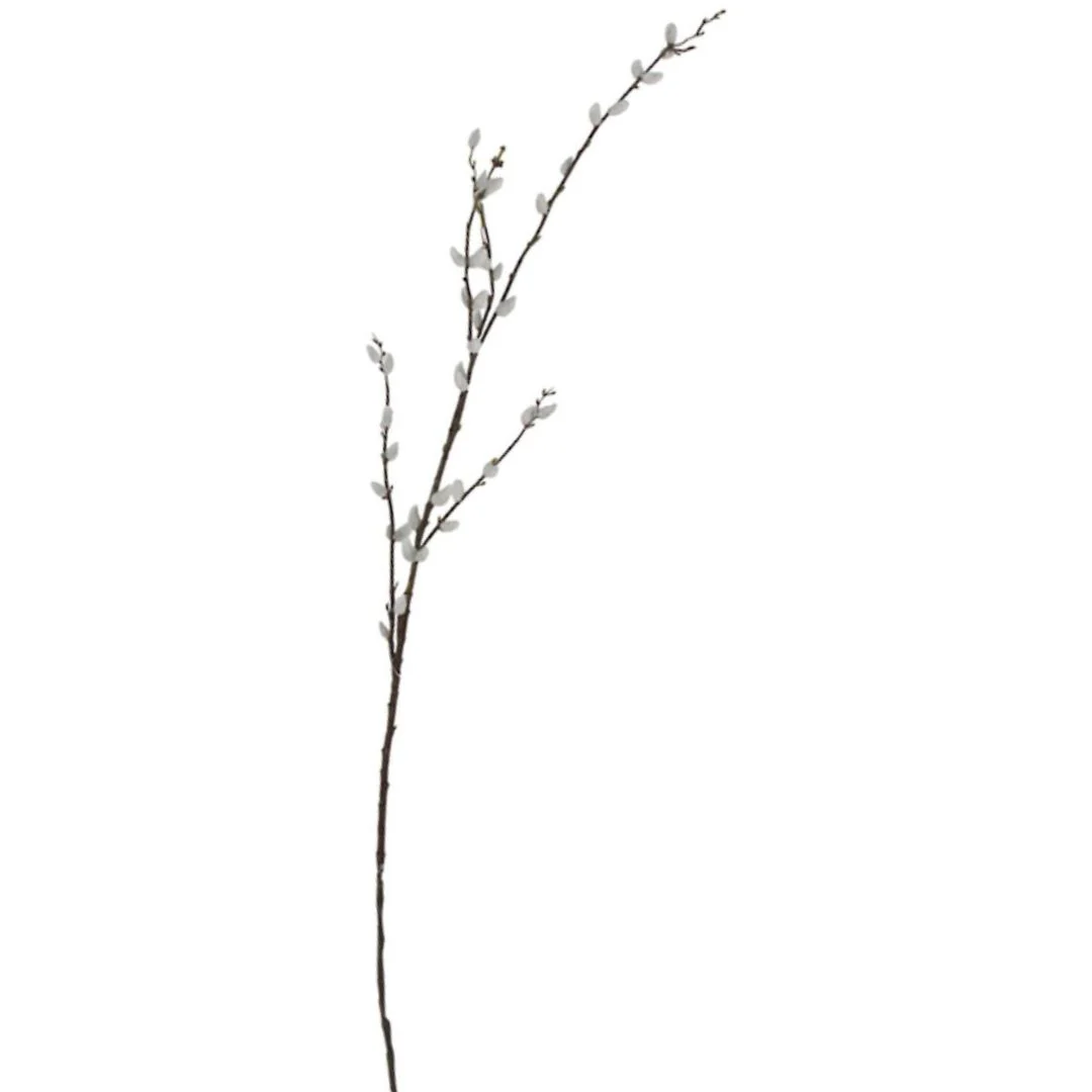 Pussy Willow Branch - 1.16m - Image 2