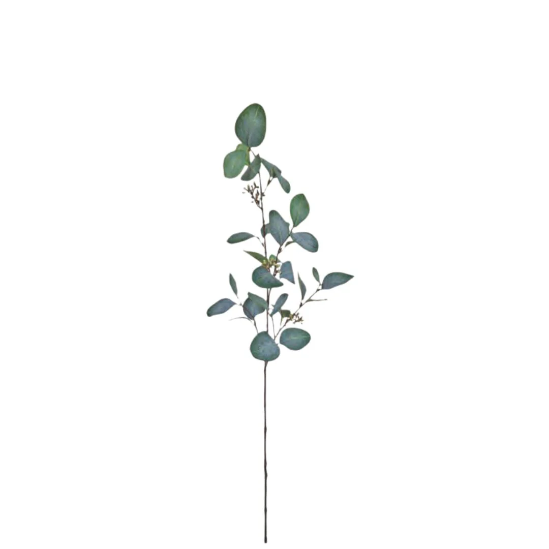 Round Leaf Eucalyptus with Seeds - Green - Image 2
