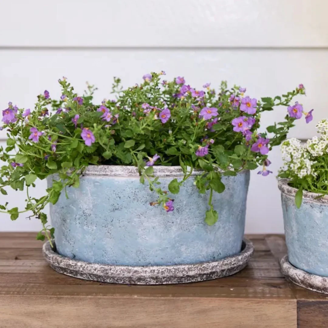 Sea Blue Wide Plant Pot & Saucer - Large - Image 2