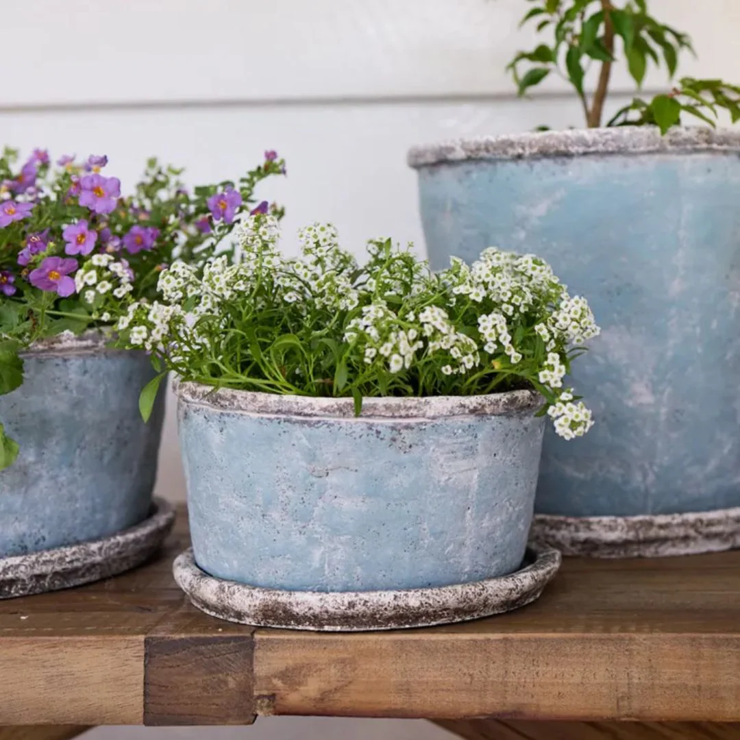 Sea Blue Wide Plant Pot & Saucer - Small - Image 2
