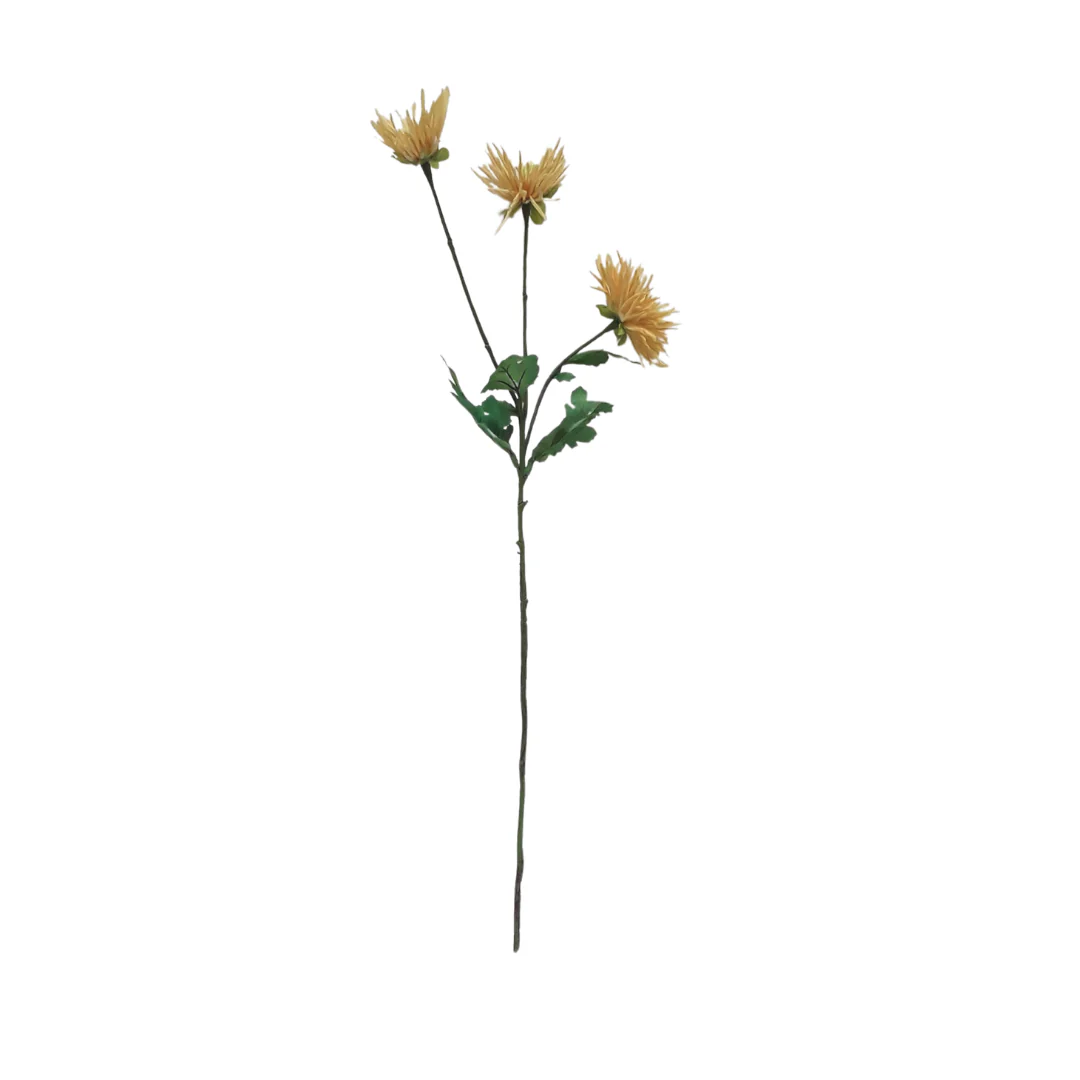 Spider Mum 3 Flowers - Yellow