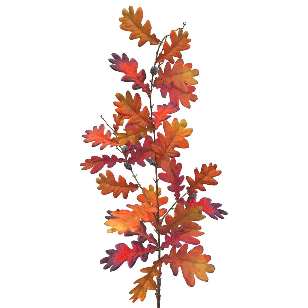 Tall Autumn Oak: Chestnut