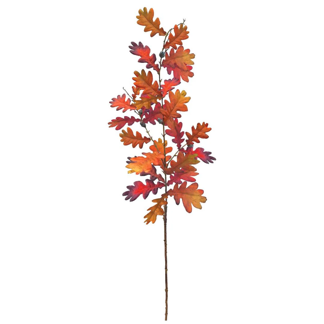 Tall Autumn Oak: Chestnut - Image 2
