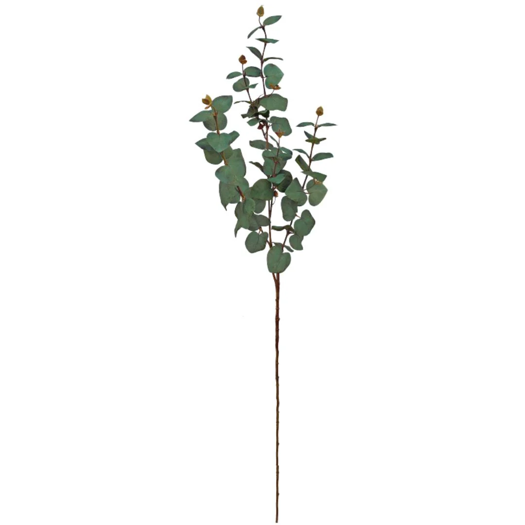 Tall Eucalyptus Spray - Dusky Green - Image 2