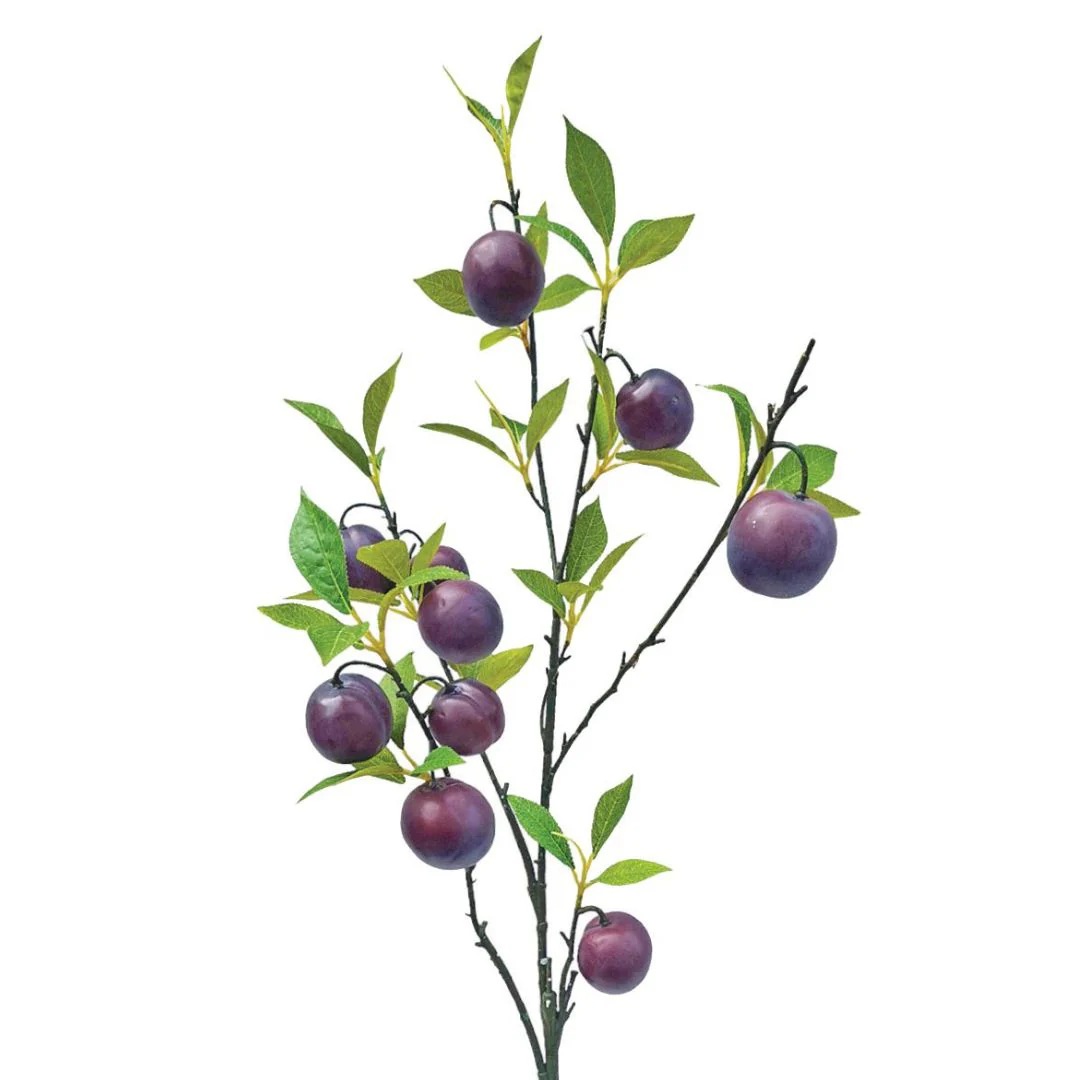 Tall Plum Branch - Wine