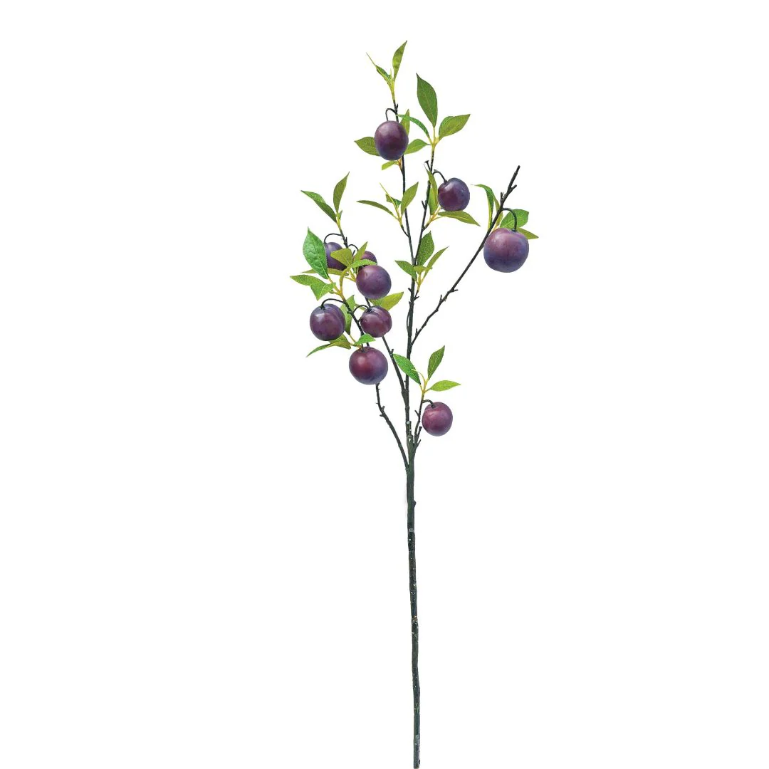 Tall Plum Branch - Wine - Image 2