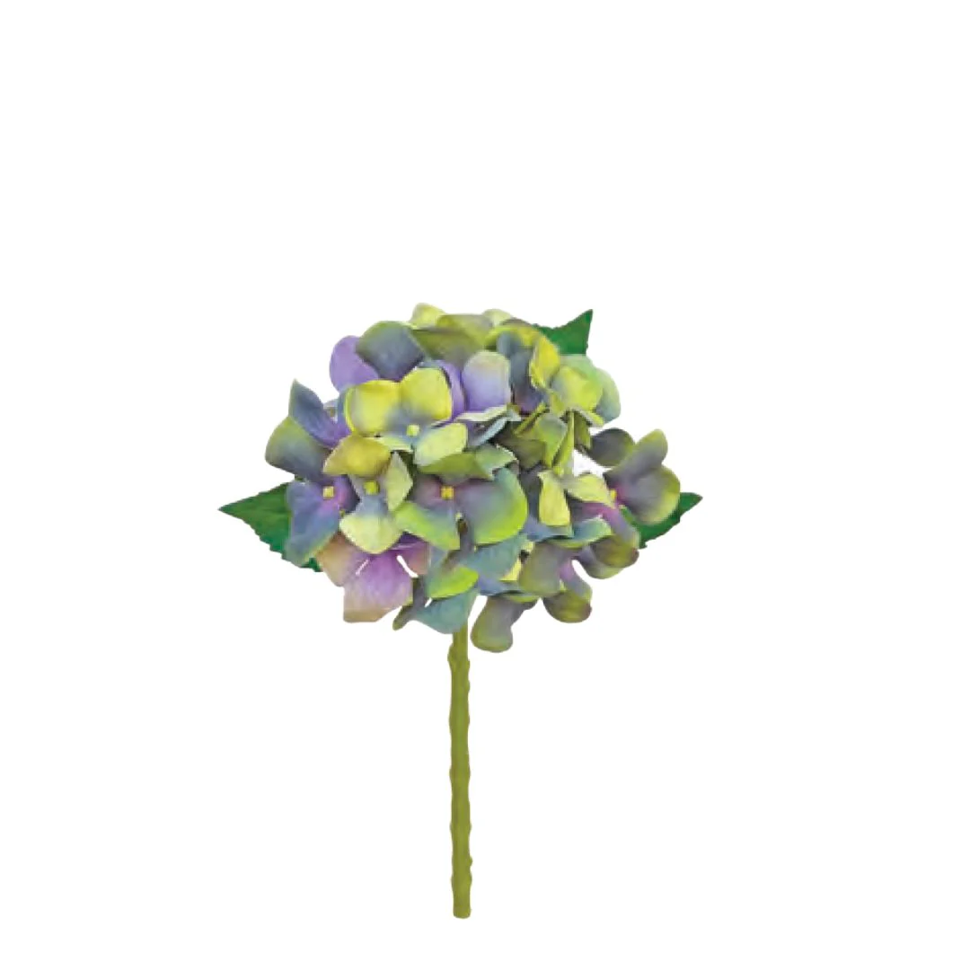Water Stem Hydrangea: Green/Blue - Medium - Image 2